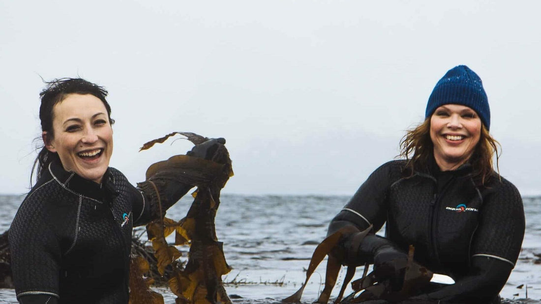 Wild, Not Trawled: Why How We Harvest Seaweed Matters - Lofoten Seaweed