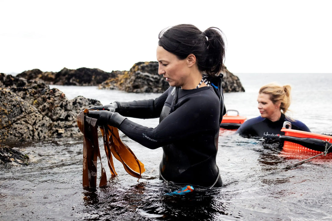 What are the Iodine benefits of eating Seaweed? - Lofoten Seaweed