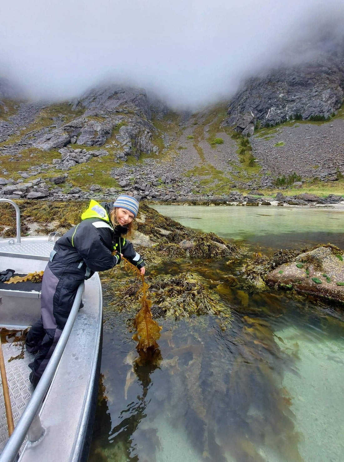 Taking a fair share: Sustainable harvesting at Lofoten Seaweed - Lofoten Seaweed