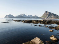 Lofoten Seaweed now on Amazon - Lofoten Seaweed