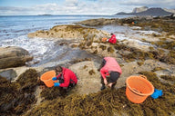 Feature in Dutch Vismagazine - Lofoten Seaweed