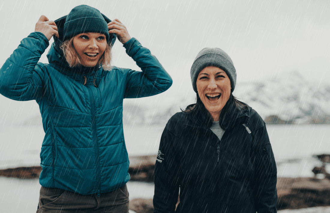 Best Rainy Day Activities in Lofoten - Lofoten Seaweed