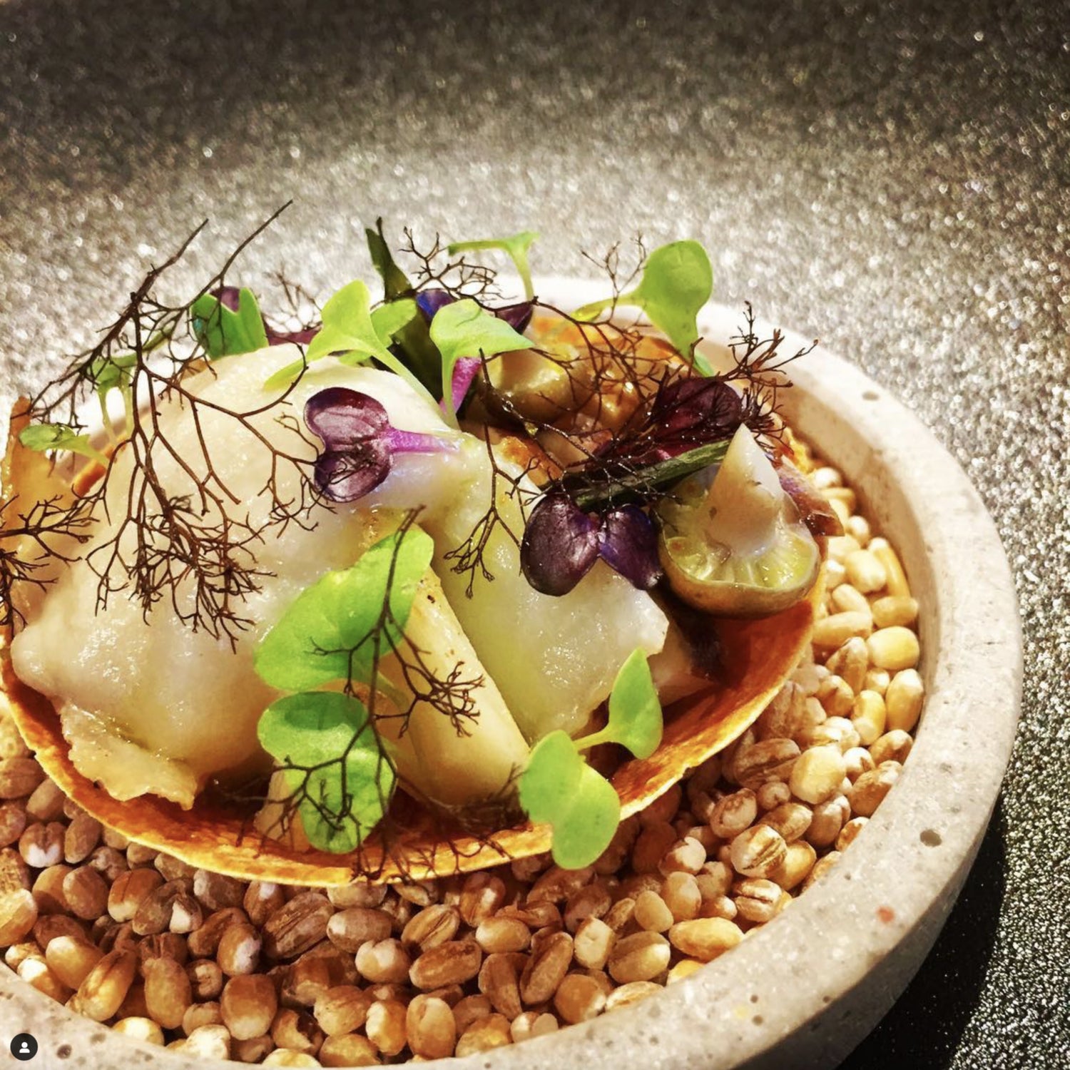 Stockfish and Jerusalem artichoke tart flavoured with truffle seaweed from Lofoten Seaweed