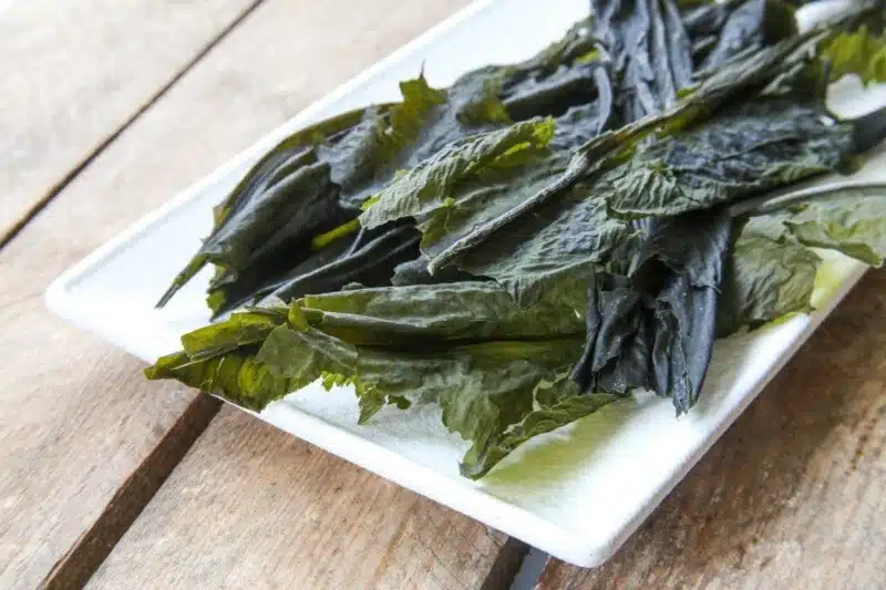 Whole leaf winged kelp