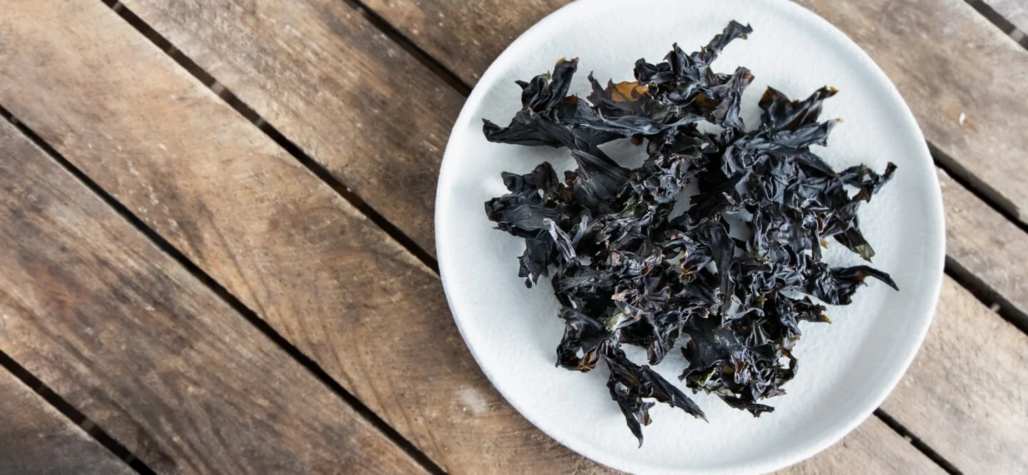 dried nori on plate