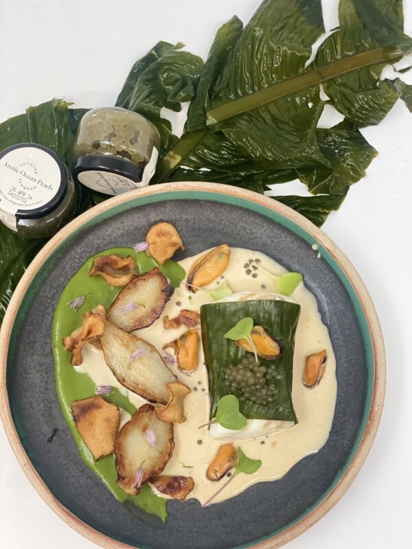 fish on a plate with kelp Jerusalem artichokes mussels and seaweed caviar arctic ocean pearls