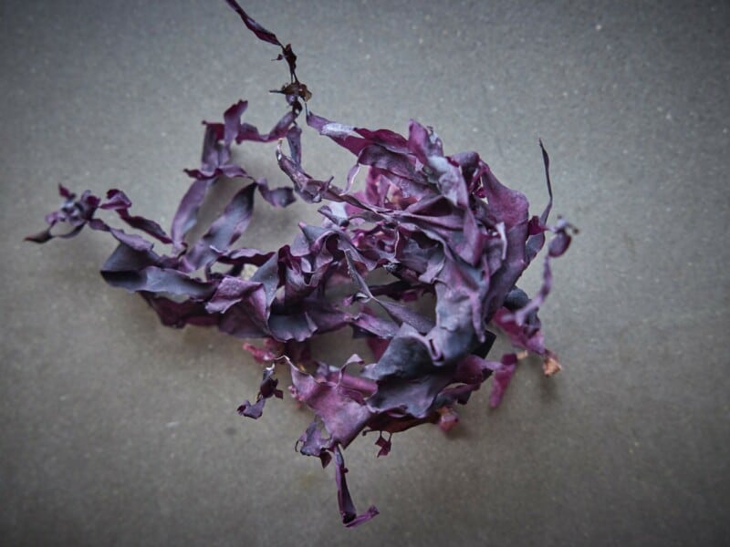 dried dulse