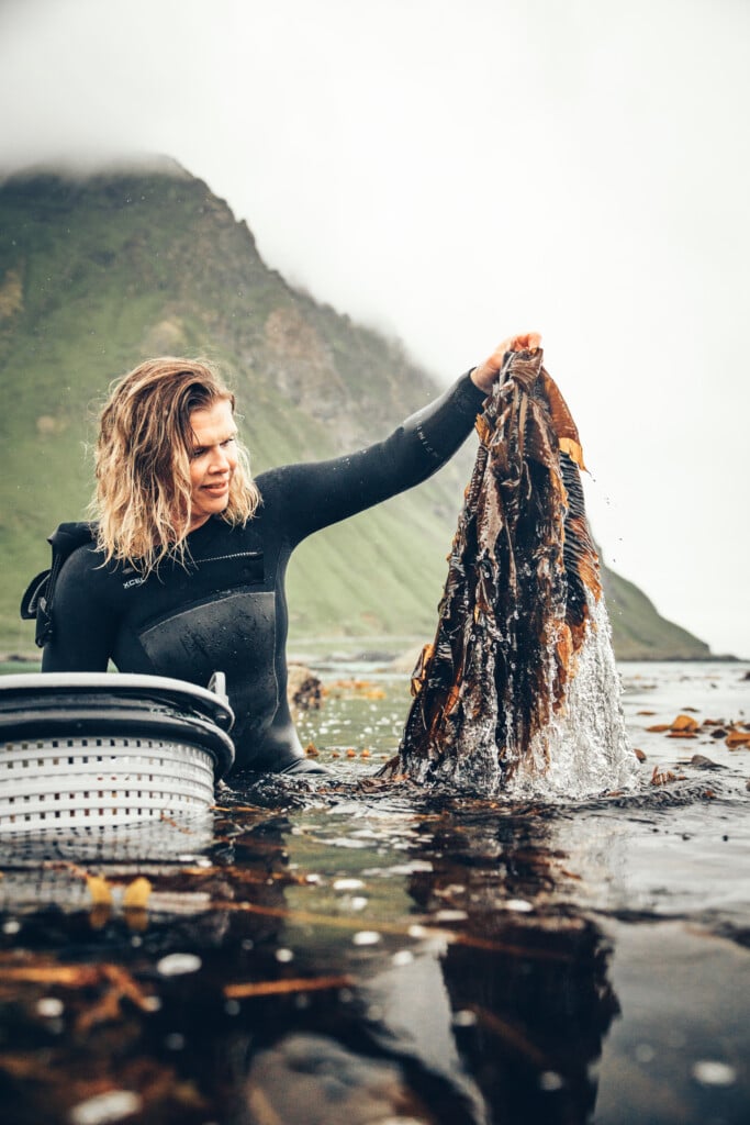 woman holding winged kelp seaweed detox