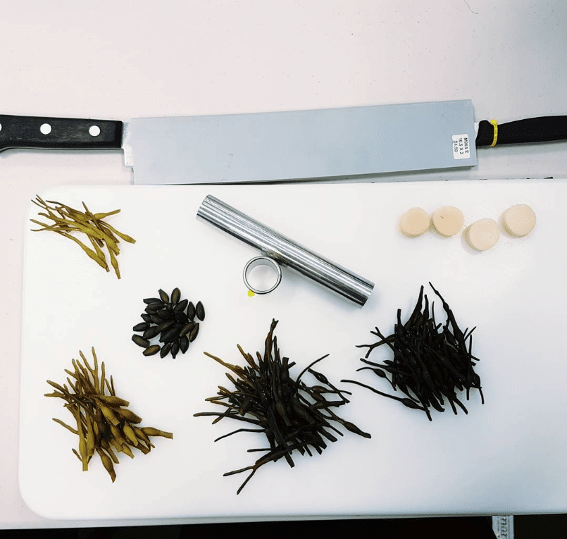 assorted seaweed with chefs knives