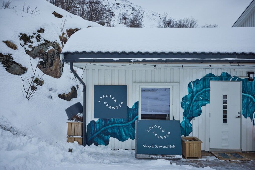The Lofoten Seaweed office in Napp