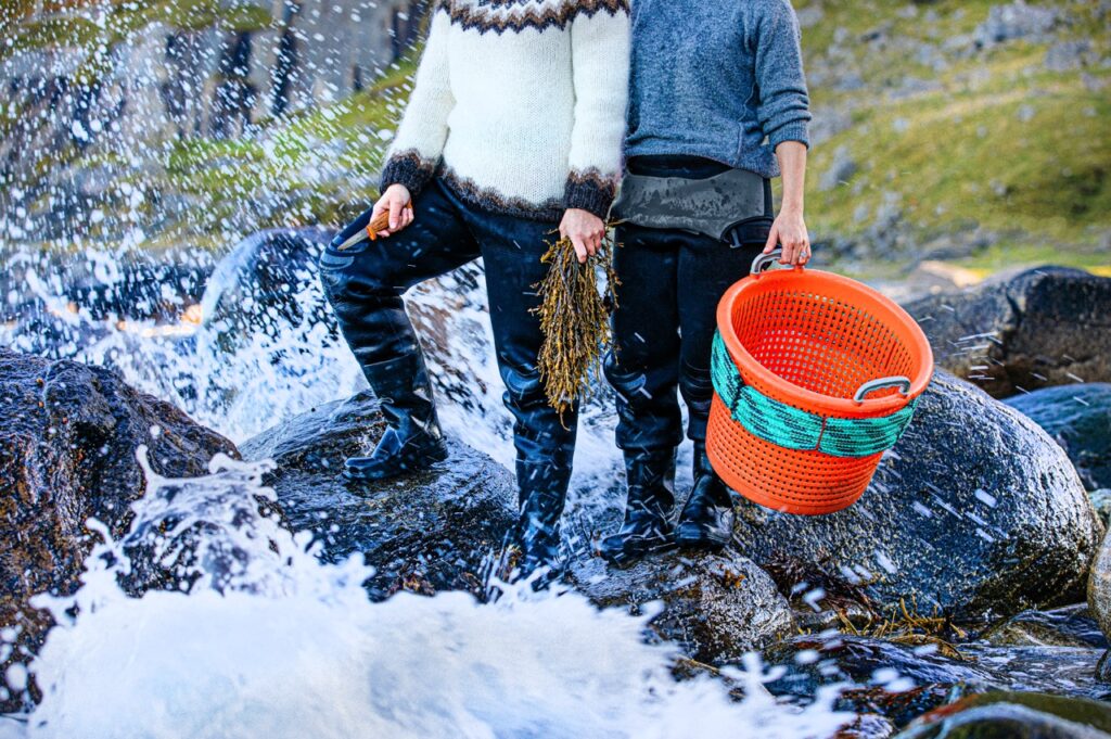 Seaweed harvesting in the west