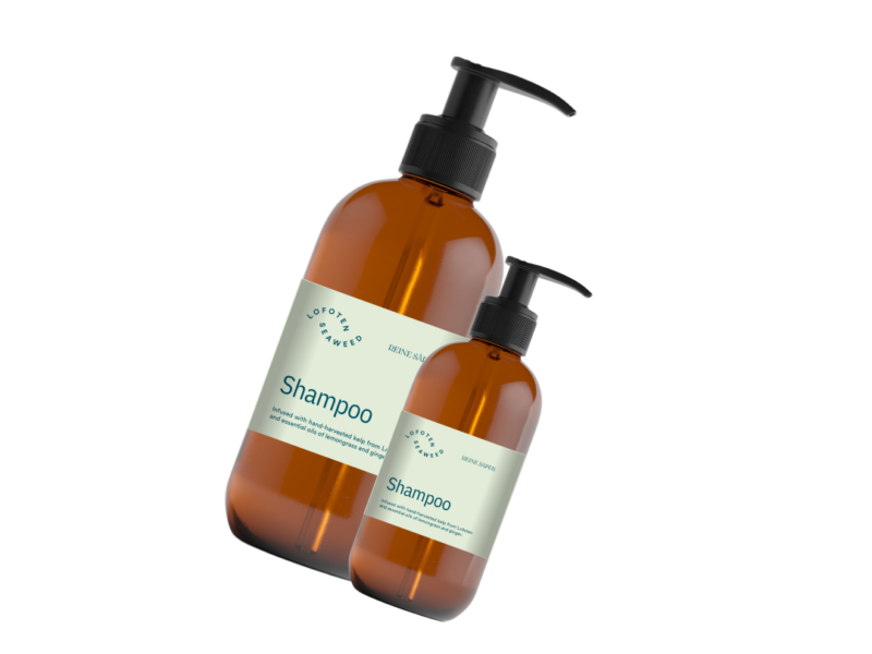 shampoo by lofoten seaweed