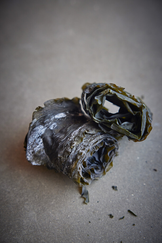 Dried sugar kelp in rolls