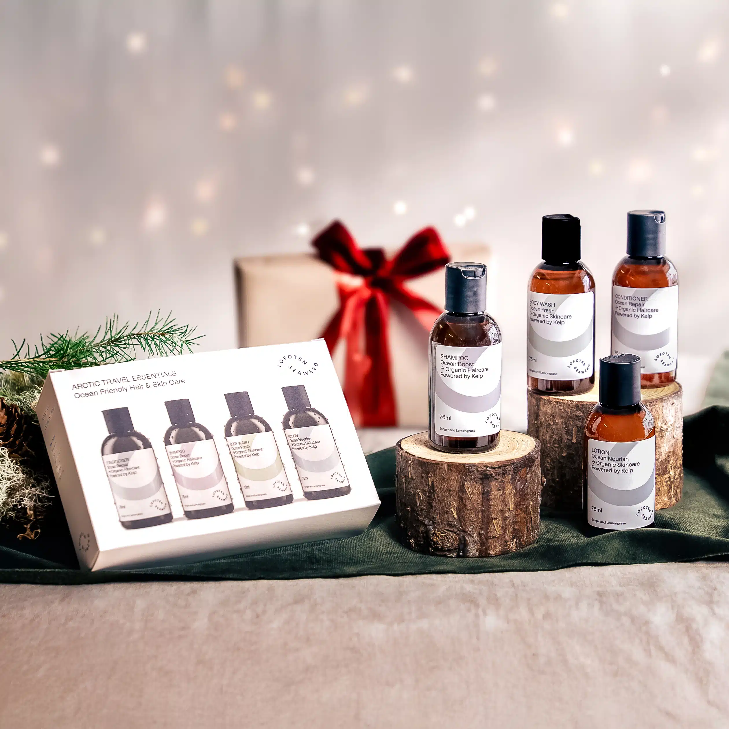 Arctic Travel Essentials