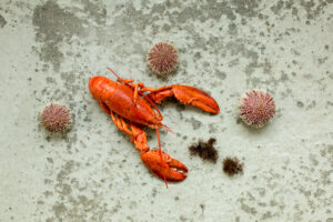 Lobster, sea urchins, truffle seaweed