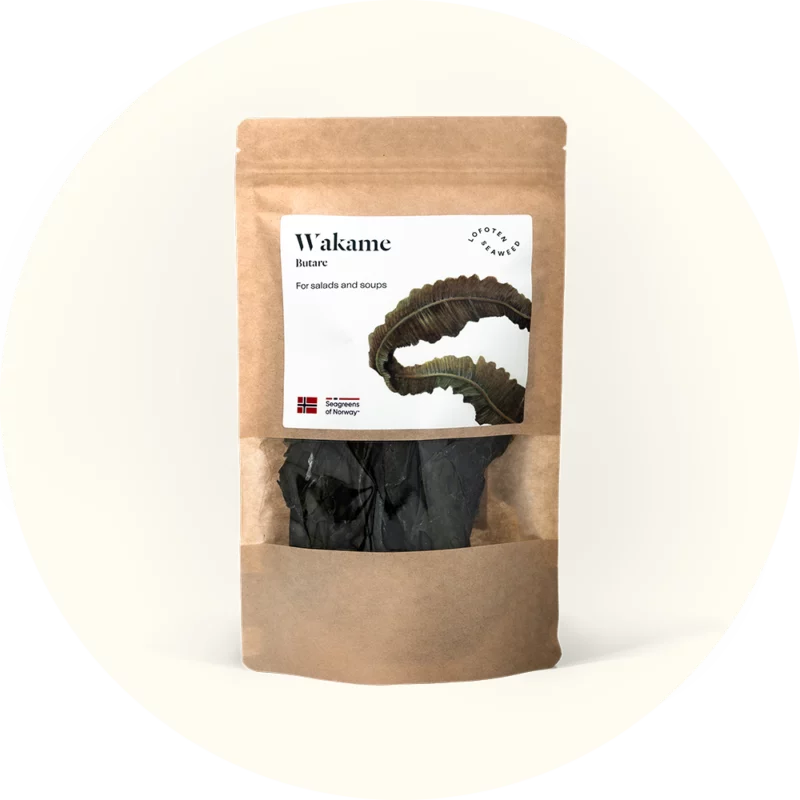Flügeltang - Wakame