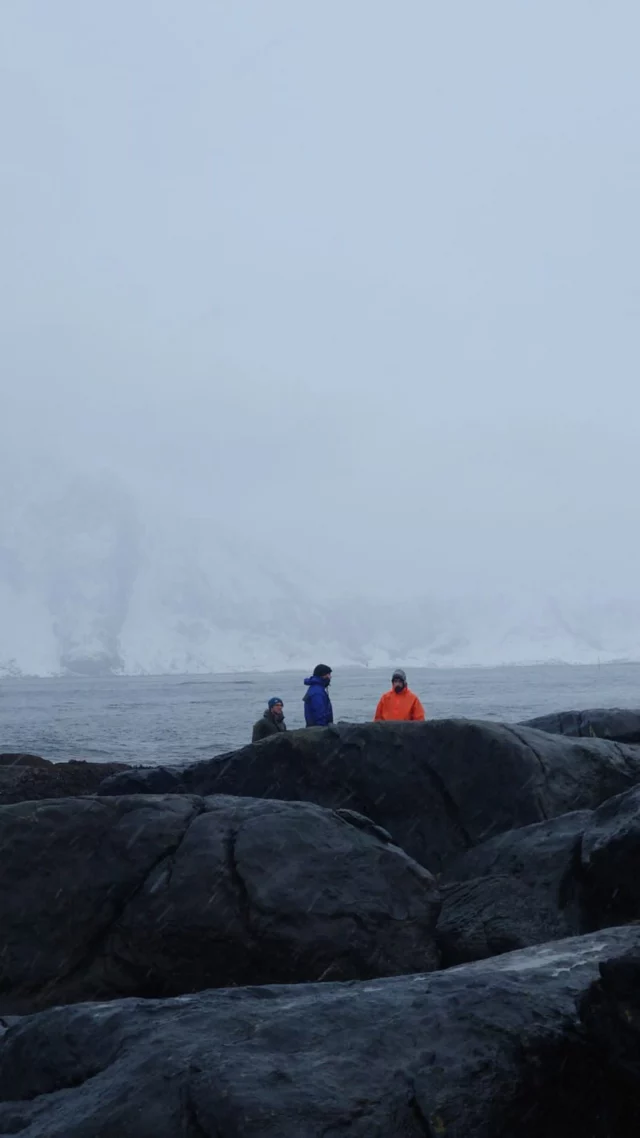 The sea teaches us to move with the tides. 🌊  To let go, return, begin again. It reminds us that real change takes time — and that, like the stone shaped by waves, we too are formed by what we endure, and what we embrace.💙

📷 @ttallak 

#lofotenseaweed #lofotenmoments #nordicnature #oceanmeditation #coastalcalm #shapedbythesea #wildandgentle #arcticbeauty #natureheals #seavibesonly
