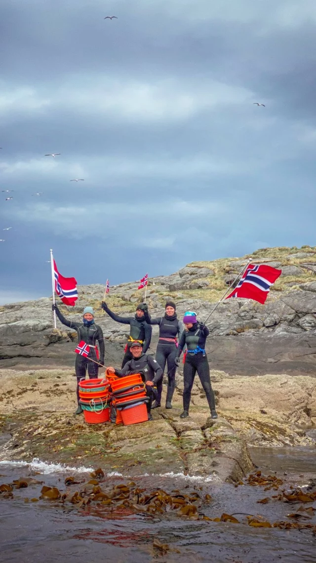 Happy 17th of May! 🇳🇴✨
Today we celebrate Norway’s National Day with flags, bunad, and big smiles - and maybe a little seaweed on the side 🌊❤️🤍💙 Gratulerer med dagen!