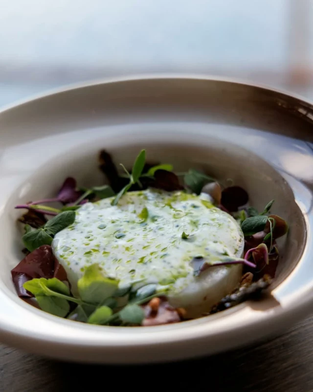 Join @reflections.site for dinner and see how Chef Simon Idsø at Restaurant Fangst at Hattvika Lodge in Lofoten is transforming seaweed into exquisite culinary creations. 

These versatile, wild sea vegetables are elevated into gourmet dishes that are full of flavour and highly nutritious.

Big thanks to @chefsatfangst for embracing the flavour of the sea, we love seeing our seaweed on your menu! ✨

@hattvikalodge @simonidso @chefsatfangst @freedivingnorway 
📸 @reflections.site 

#Seaweed #SustainableHarvesting #Lofoten #Norway #OceanToPlate #Superfood #NutritionalBenefits #FineDining #CoastalCommunities #RevivalStory #FoodDocumentary #MarineLife #HealthyEating #SustainableLiving #NorwegianFood