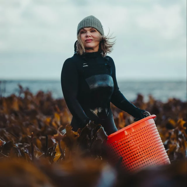 Did you know that seaweed has been used in skincare for centuries? And that it is gaining popularity as a natural, sustainable ingredient packed with bioactive compounds that offer numerous benefits for the skin? ⁠
Intrigued? Read this and learn more about some of the benefits of seaweed in skincare!👇🏻🌿⁠
⁠
1. Hydration and Moisture Retention⁠
Seaweed is rich in polysaccharides such as alginate and fucoidan, which help retain moisture in the skin by forming a protective barrier. ⁠
⁠
2. Anti-Aging Properties⁠
Seaweed contains antioxidants like vitamin C, vitamin E, and polyphenols that help combat oxidative stress caused by free radicals. These compounds can help reduce the appearance of fine lines and wrinkles.⁠
⁠
3. Anti-Inflammatory and Soothing Effects⁠
Certain seaweed extracts, particularly from brown algae, have shown anti-inflammatory effects, making them useful for calming irritated skin.⁠
⁠
4. Detoxification and Brightening⁠
Seaweed is believed to help draw out toxins and impurities from the skin while also delivering trace minerals like zinc, magnesium, and iodine, which support skin regeneration and a healthy glow.⁠

📷: @morten_munthe