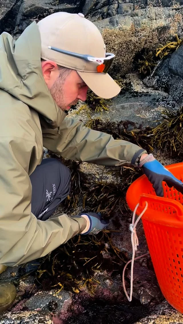 A calm, sunfilled day by the sea, harvesting the much-needed truffle seaweed after being sold out all summer. The perfect start to our autumn season 🍂☀️

#lofotenseaweed #truffleseaweed #harvestseason #autumn