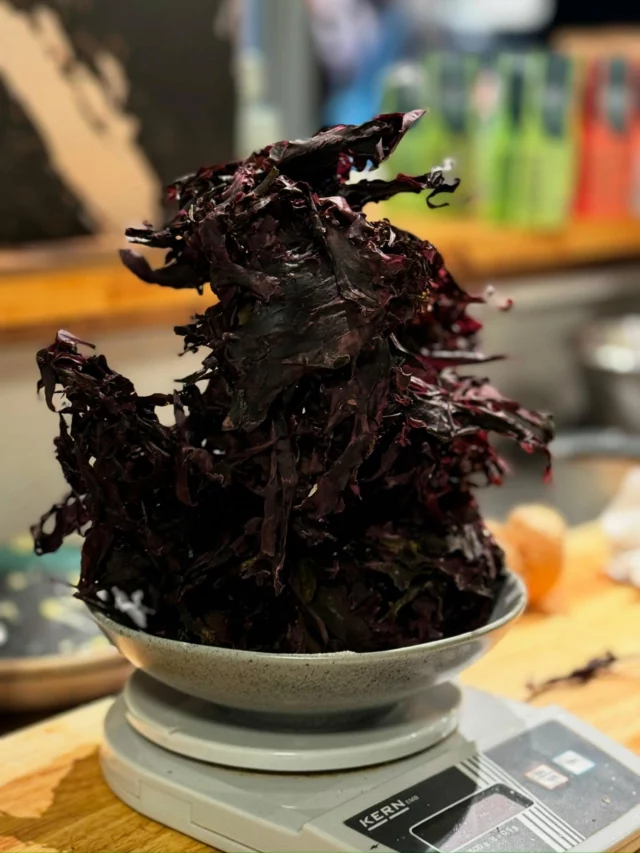 50 grams doesn’t sound like much.. until you realise it’s seaweed 🌿⚖️ This tiny weight goes a long way in the kitchen. 

🥓 Did you know that dulse has a smoky flavour that’s been compared to bacon when it’s pan fried? Crispy, smoky and 100% plant-based!

🌿 Did you know that dulse has been eaten for over 1000 years in Northern Europe and the North Atlantic, and that it was used by the vikings to prevent scurvy on long ocean voiages?

💪Did you know that dulse stands out with a high protein content - up to 25% when dried? 

🩷 Did you know that dulse gets its deep pink colour from pigments called phycobilins, which also contribute to its antioxidant properties?

🩺 Did you know that dulse is rich in iodine, iron, potassium, magnesium, and B vitamins, supporting thyroid function, energy and overall health?

#seaweedmagic #funfacts #lofotenseaweed #fromlofotenweedlove #dulse #superfood