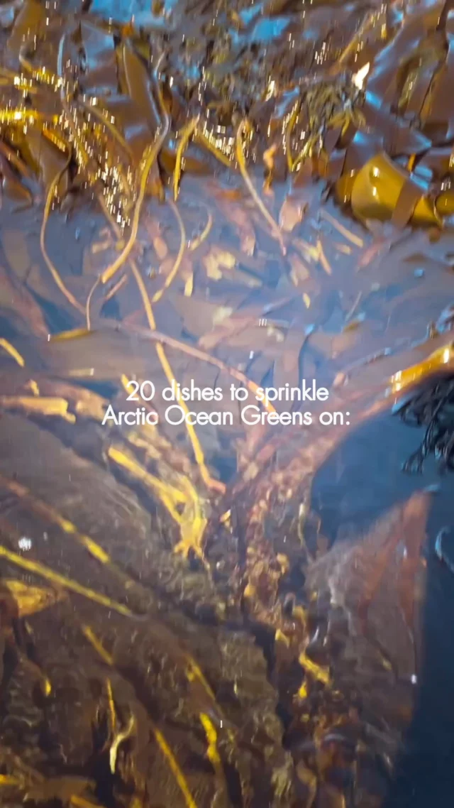 Seaweed does not have to be complicated: if you can sprinkle salt, you can use Arctic Ocean Greens 💚 Which one would you try first?