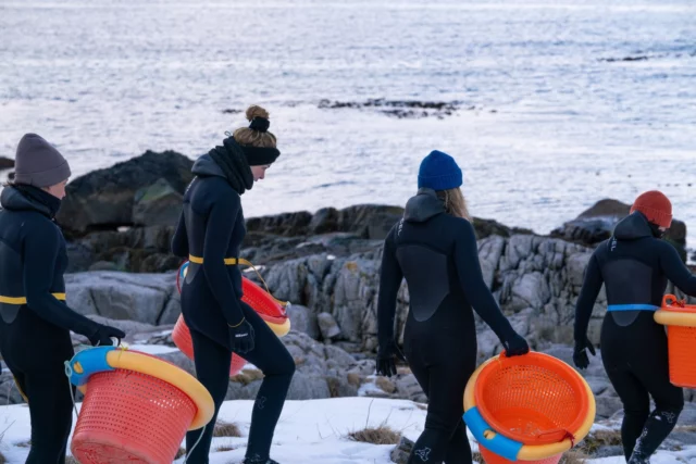 Dulse season is calling.. and we are ready to zip up the wetsuits 🌊

Spring in Lofoten means harvest season is about to begin, and we always start in the water with dulse - deep red, full of flavour, and 100% worth the cold. The team is heading out with wetsuits on, salty hands, big smiles (and maybe a little shiver). Then it is back to shore for carefull processing so it can end up in your kitchen. 

Want to follow our harvesting from a safe, warm distance? 
👀 Keep an eye on our stories for behind-the-scenes
🗞️ Tap the link in bio and sign up to our newsletter for harvest updates and recipes 

📸 @ampersandstudiosco