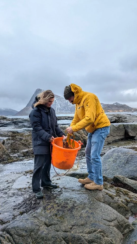 Last week we took @diegorossichef to the coast to see, feel and taste where our seaweed grows. Can you spot which varieties we found that day?

Chef of @trippamilano, and having worked in some of Italy’s finest kitchens, he is now taking a more humble and contemporary approach to traditional trattoria food, focusing on seasonality and embracing a zero waste philosophy with his dishes. Something we feel very aligned to of course!

Stay tuned for what he cooked next in our kitchen 👀